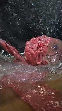 Hellraiser: Frank's Resurrection