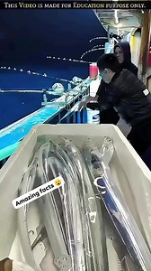 Rare Silver and Transparent Fish... . . #facts #knowledge #fish #reels #trend #virals #trending #fbreels24 #facebookreel #facebookviral #facebookreelsviral #FacebookReelsContest | Amazing Facts