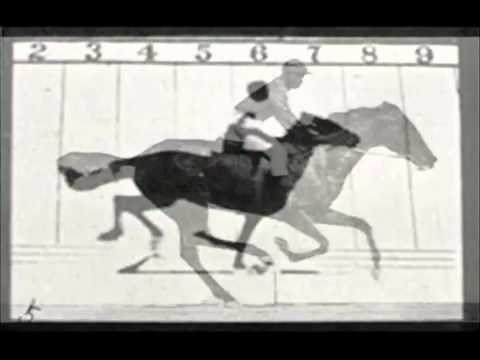Eadweard Muybridge,1872, la photographie du mouvement.