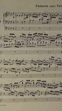 J.S.BACH ADVENT Fantasia VALET WILL ICH DIR GEBEN [BWV735] #willemvantwillert BÄTZ-ORGAN HARDERWIJK