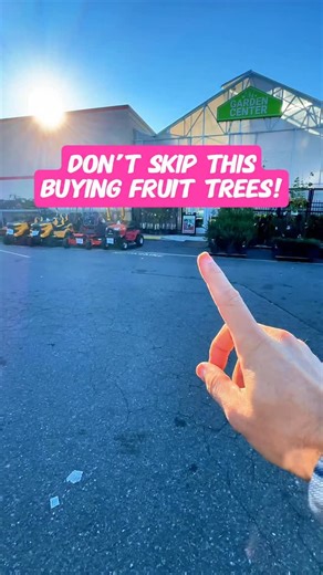 Josh Gardens on Instagram: "🍑 What type of peaches are you growing? 👇 Here’s the one thing you should always check before buying a peach tree: chill hours! ❄️ That’s how many hours your area spends below 45°F each winter, and it determines whether your tree will actually set fruit. 🍑 🌳 If you’re up north, go for high chill-hour types like Contender Peach (needs over 1,000 hours). ☀️ If you’re in warmer zones, try Florida King since it only needs about 300–400 chill hours. And this isn’t just