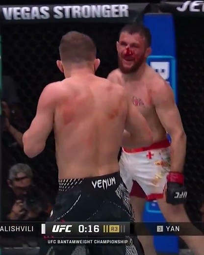 That body kick from Petr Yan hurt Merab Dvalishvili! 🥵 #UFC323 #UFC #UFCIndia