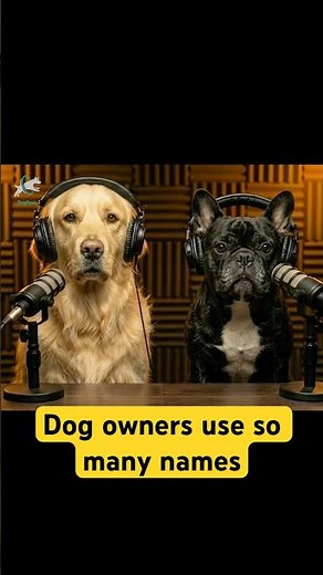 How many nicknames do you use for your dog? 😅