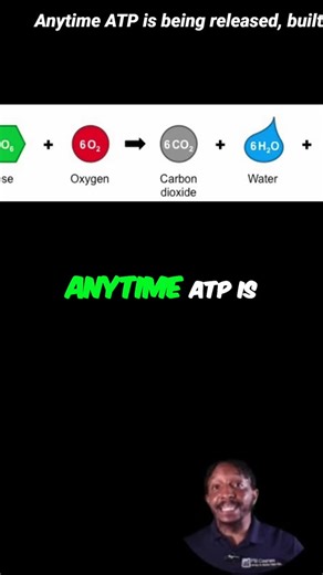 Fsi Courses on Instagram: "Cellular respiration: opposite of photosynthesis. Releases energy by breaking down glucose. Matter cycles, energy flows. #CellularRespiration #Photosynthesis #Biology #Science #ATP #Glucose #Mitochondria #EnergyFlow"