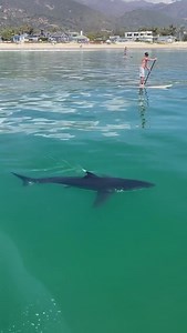 14K views · 536 reactions | Wise words from photographer &...