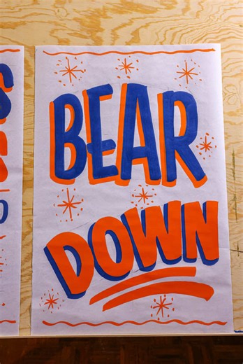 Chicago Bears: A Season to Remember