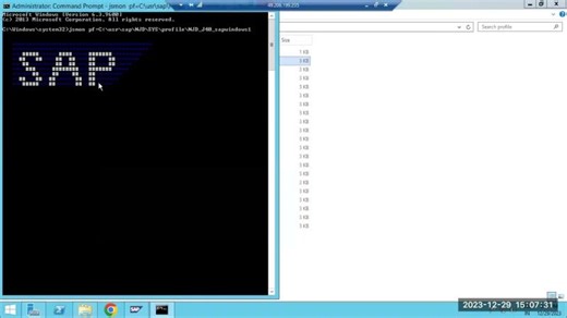 How to restart ICM in SAP Java Systems | Swarnendu Sarkhel posted on the topic | LinkedIn