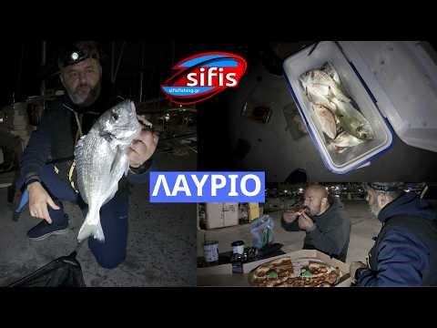 Γέμισε τσιπούρες το λιμάνι του λαυρίου!!