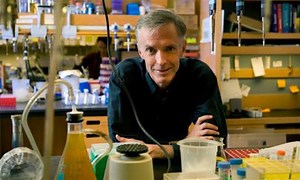 James Collins (bioengineer) - Alchetron, the free social encyclopedia