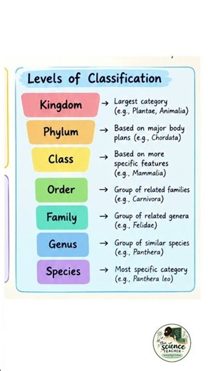 Class 9 Science Chapter 12 | Classification of Living Organisms 🌿 | Easy Notes & Mind Map