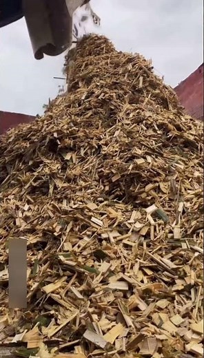 Amazing process of making paper from bamboo