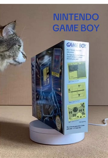 Think my boxed Nintendo Game Boy DGM passed the quality control test by my cat ☺️ #retro #retrotoys #90stoys #retrogaming #nostalgia