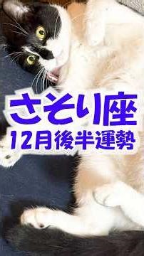 【♏さそり座】ずばり「決断」のとき。選んだ先で運が開く🔑蠍座さんにとって素敵な年の締めくくりとなりますように🎄✨ #shorts #占い #タロット #星座 #運勢