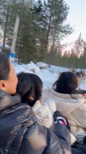 Try naman natin ang Husky Dog Sled Ride 🦮🐕🐕‍🦺 #dogsled #sleighride #SantaClausVillage #rovaniemi #lapland #finland | Atty Jem Sy