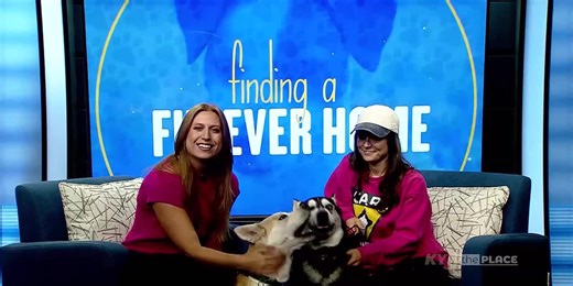 The Place: Furever Home - Adopt Bob & Little John today