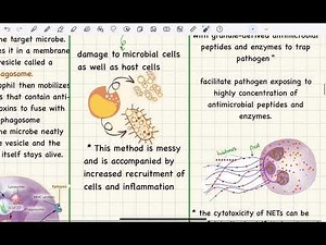 Immunity 2 | Innate immunity (cells , complement & cytokines)