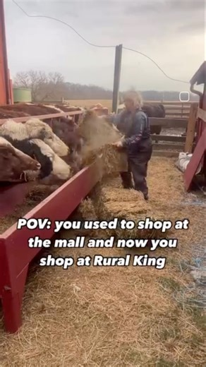 My wardrobe is basically all from our local farm store now. Who has time to go to the mall now anyways? Rural King has all I need. . . . #RuralKing #ruralliving #farmwife #farmlife #farmfamily #farmstore #farmreels | Wallis Farm