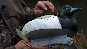 The new foam filled divers can take a beating! Check out what this decoy looks like after we shot it 3 times! Head over to fabrand.com if you want to learn more about our foam filled diver decoys. #fabrand #finalapproach #waterfowl #duckhunting #hunting #waterfowlhunting #goosehunting #ducks | Final Approach Waterfowl