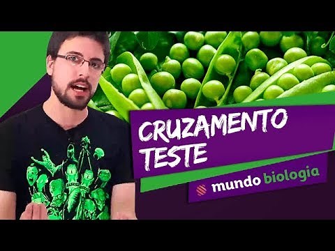 🧬 Genética (2/8): Cruzamento Teste - Biologia - ENEM