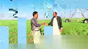 568K views · 10K reactions | صحرا میں گندم کی کاشت کیسے کی جا سکتی ہے؟؟ #wheat #deserts #desertsfarming #wheat-farming #wheatcultivation #abidaliagrarian | Abid Ali Agrarian | Facebook