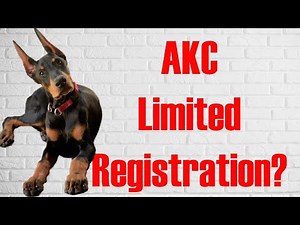 AKC Limited Registration of puppies. What is Limited Registration?