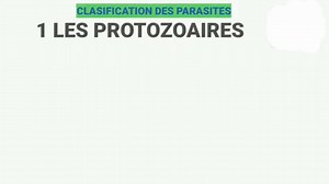 classification des parasites: les protozoaires | Biologies médicales