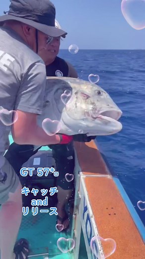 #fishing#沖縄釣り#釣り#OKINAWA#JAPAN#沖縄フィッシング#海釣り#ルアー釣り#船釣り#遊漁船#那覇遊漁船#オフショア#釣り好き集まれ#YOSEMIYA#ヨセミヤ#GT#ジャイアントトレバリー