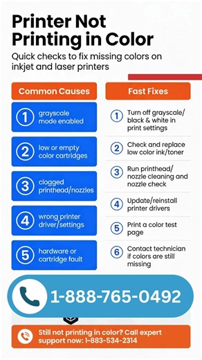Printer Not Printing Color? 6 Step-by-Step Fixes (Works Fast!)