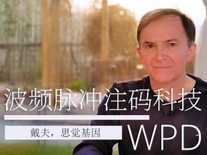WPD即是波频脉冲注码科技，是一种先进的脑电波声学转换技术，使用脉冲波频率装置，发射特殊编码的频率，有效减少干扰脑电波，尝试帮助使用者调整人体固有的基因架构，舒缓情绪问题并减少外部干预……【雪子国际生命优化乐园·健康之美】#雪子国际生命优化乐园 @DOU 上热门 @DOU 好生意 @DOU 小助手 @抖音小助手 ,wpd是什么网- 抖音