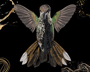 Hummingbird Embroidery Design | Bird Pattern | for Jackets, Tote Bags & Decor | Digital Download | Wildlife Stitch Pattern | Exp Dst Pes Pec - Etsy