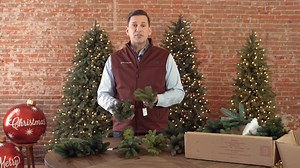 77 reactions · 6 comments | The Balsam Hill branch sample kit allows...