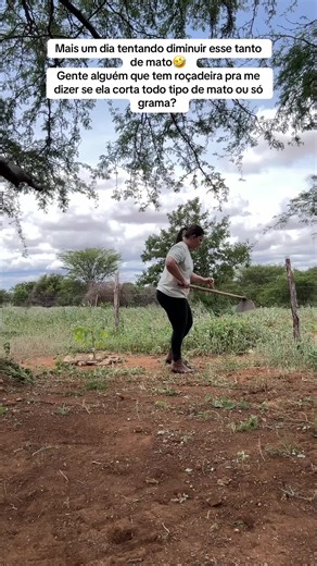 Desvendando a Roçadeira: Cortando Mato e Grama