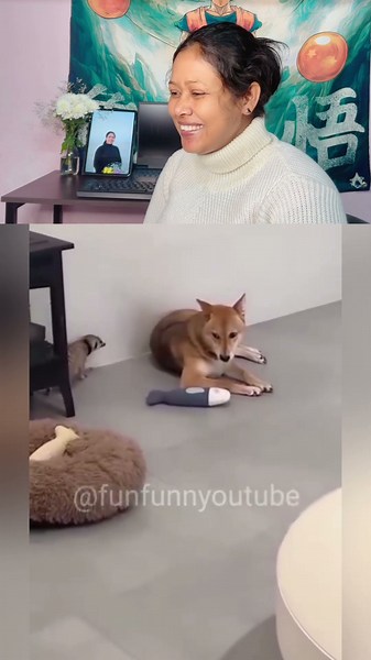 Dogesh Se Paisa Mangne Gaya Tha 😂 #dogeshbhai #funnydog #shorts #viral #animalcomedy