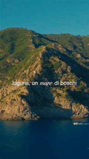 La Liguria è una terra che sorprende sempre, anche chi la conosce bene. Siamo la regione più boscosa d’Italia: oltre il 74 percento del territorio è coperto da boschi. Un dato straordinario che racconta una Liguria autentica e affascinante. Con la nuova campagna “Liguria, un mare di boschi” vogliamo far conoscere questo patrimonio: sentieri tra castagni e abeti, borghi dell’entroterra, profumi mediterranei e il blu del mare che accompagna ogni passo. Stiamo investendo per valorizzare i cammini, 