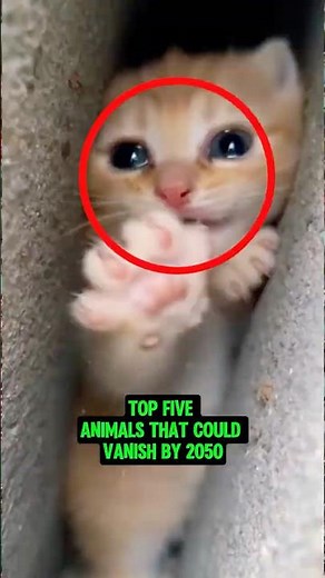If you ever see these top 5 animals, protect them
