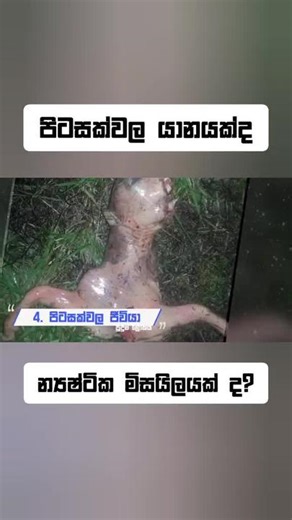 Puduma_Lokaya on TikTok