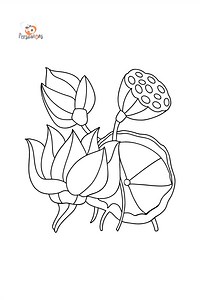 Lotus coloring page for Kids - Online and Print for Free!
