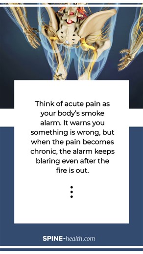 Why Your Pain Won’t Stop: The Truth About Chronic Pain 🚨