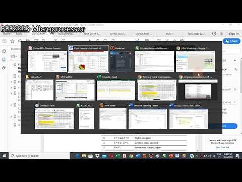 Bcc Instructions for ARM Cortex M0/M0+