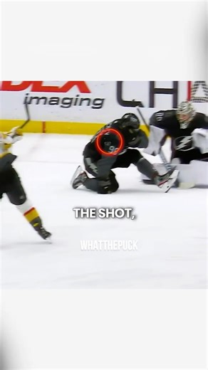 NHL Player Blocked a Shot With His Head