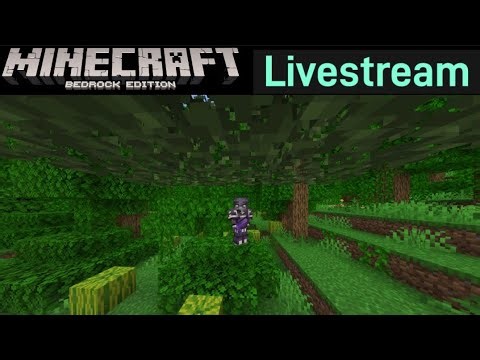 For Cactus And The Journey Back | Minecraft Livestream
