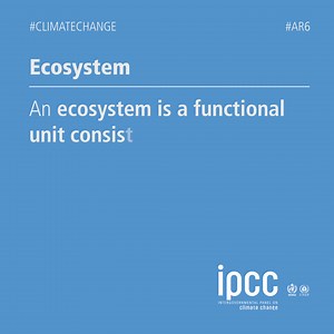 An ecosystem is a functional unit consisting of living organisms, their non-living environment and the interactions within and between them. Full definition explained below or visit the Glossary from the Special Report on Global Warming of 1.5°C #SR15 ➡️ https://bit.ly/2GXH5VS | IPCC