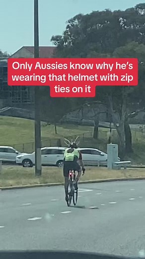 Magpies in Australia: Tips to Avoid Being Swooped