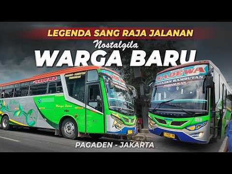 Terkenal Sat-Set Sejak 1970, Nostalgila Bus Bumel Pantura Legendaris PO Warga Baru Pagaden Jakarta