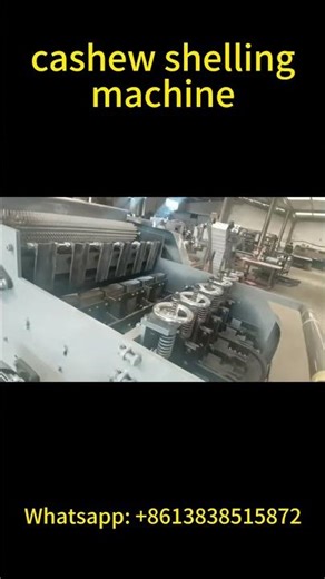 🔥👍Automatic cashew nut sheller machine | Cashew Shelling Machine in Action – Efficient & Fast👍