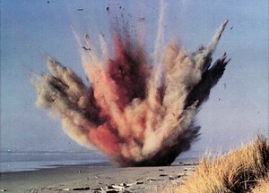 The Exploding Whale, 50 Years Later – This is True