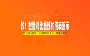 妙！数量对比悬殊的PPT图表演示