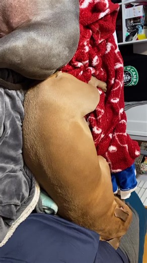 Richard Marquez on TikTok