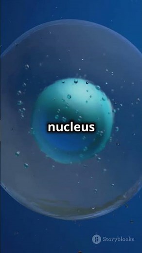 DNA & Genes: Quick Explainer!