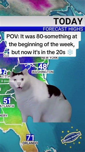 I mean, maybe not 20° but still... oof🥶❄️ #coldweather #funnycat #southernweather